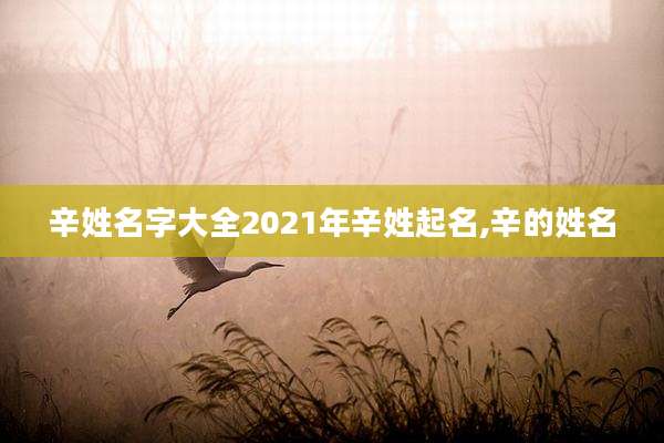 辛姓名字大全2021年辛姓起名,辛的姓名