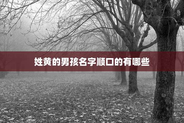 姓黄的男孩名字顺口的有哪些