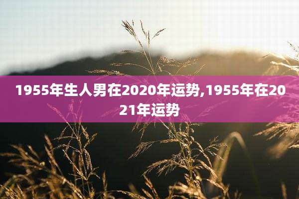 1955年生人男在2020年运势,1955年在2021年运势