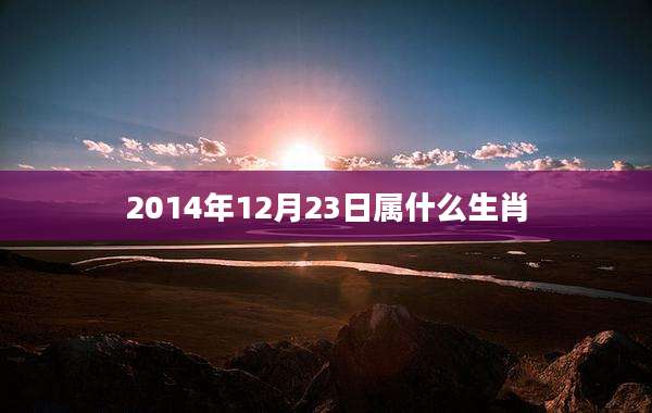 2014年12月23日属什么生肖