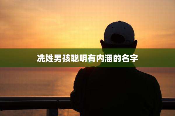 冼姓男孩聪明有内涵的名字
