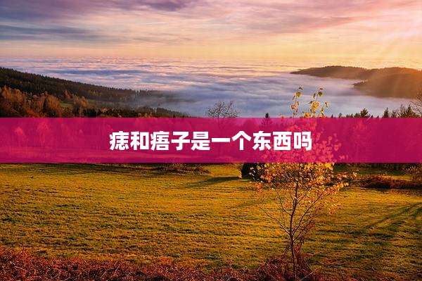 痣和痦子是一个东西吗