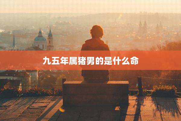 九五年属猪男的是什么命