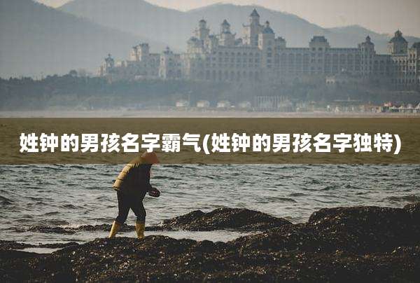 姓钟的男孩名字霸气(姓钟的男孩名字独特)