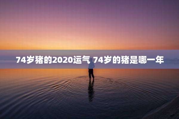 74岁猪的2020运气 74岁的猪是哪一年