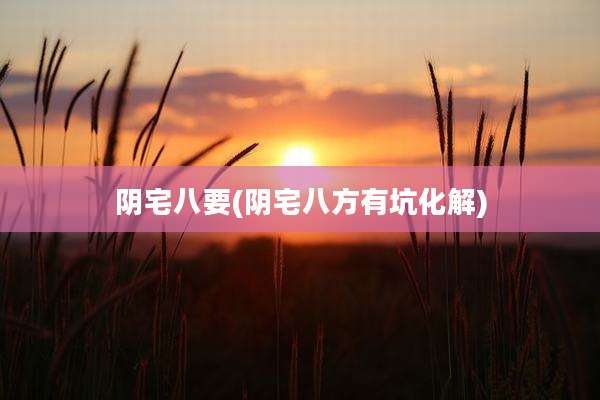 阴宅八要(阴宅八方有坑化解)