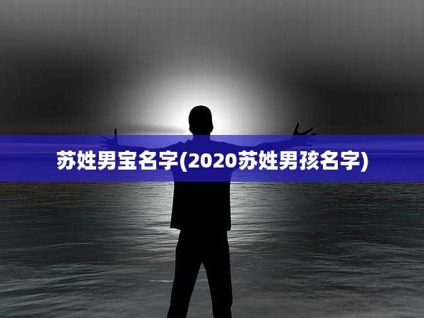 苏姓男宝名字(2020苏姓男孩名字)