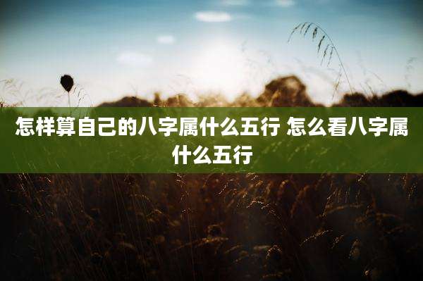 怎样算自己的八字属什么五行 怎么看八字属什么五行