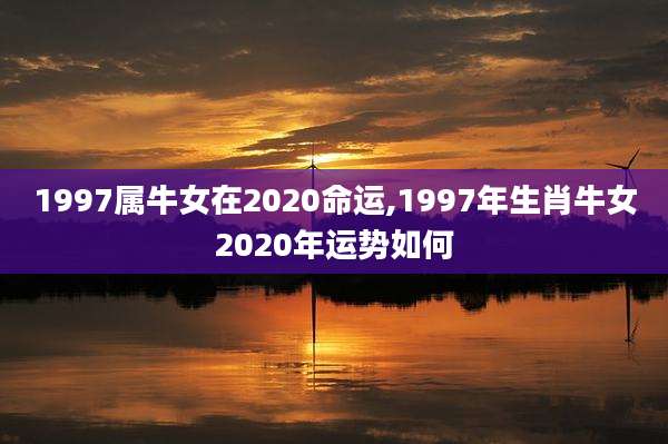 1997属牛女在2020命运,1997年生肖牛女2020年运势如何
