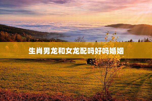 生肖男龙和女龙配吗好吗婚姻