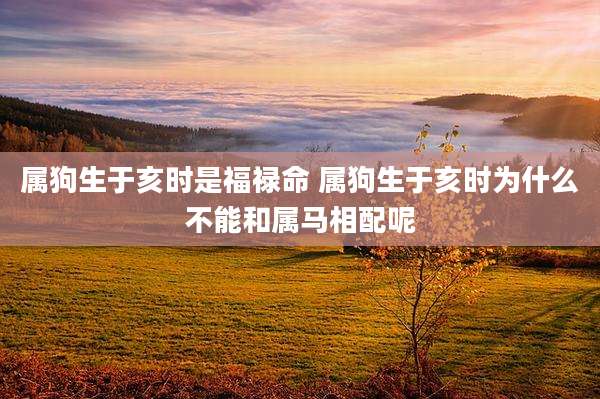 属狗生于亥时是福禄命 属狗生于亥时为什么不能和属马相配呢