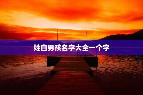 姓白男孩名字大全一个字