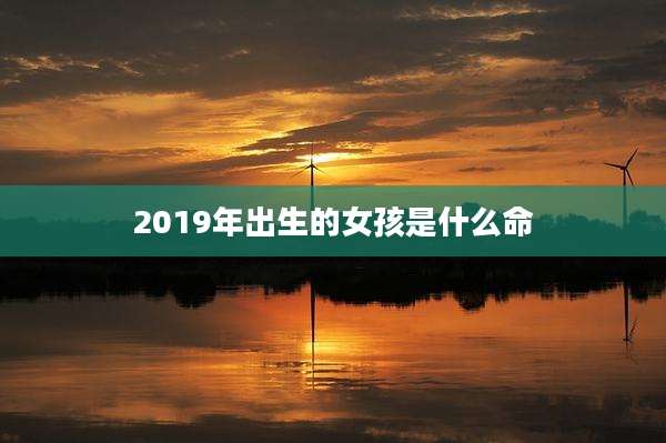 2019年出生的女孩是什么命