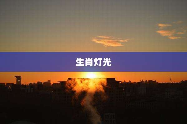 生肖灯光