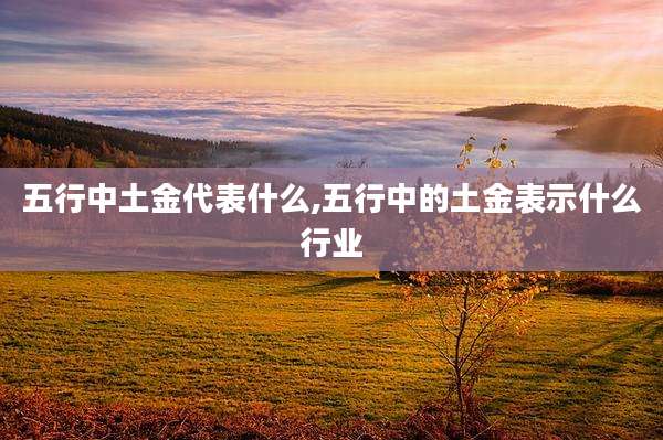 五行中土金代表什么,五行中的土金表示什么行业