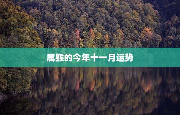 属猴的今年十一月运势