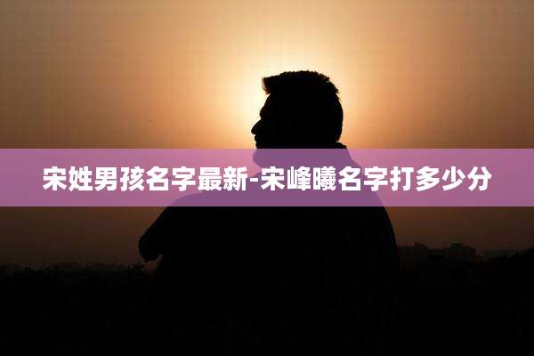 宋姓男孩名字最新-宋峰曦名字打多少分