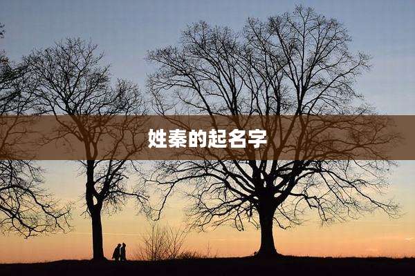姓秦的起名字