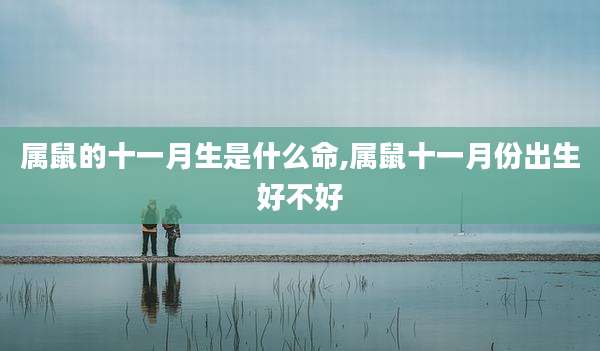 属鼠的十一月生是什么命,属鼠十一月份出生好不好