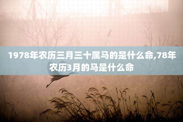 1978年农历三月三十属马的是什么命,78年农历3月的马是什么命
