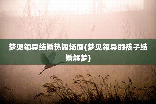 梦见领导结婚热闹场面(梦见领导的孩子结婚解梦)