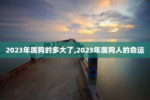 2023年属狗的多大了,2023年属狗人的命运
