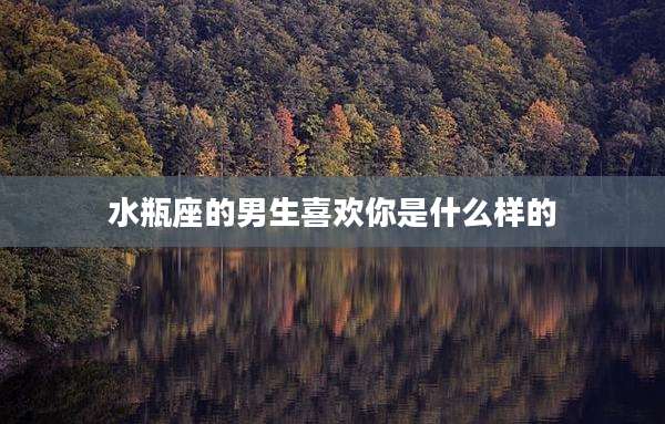 水瓶座的男生喜欢你是什么样的