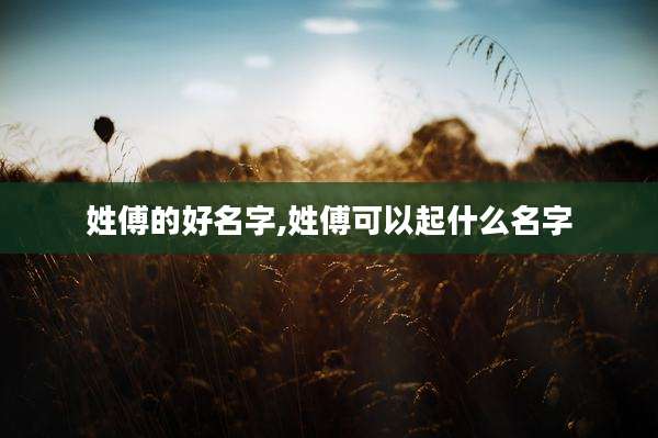 姓傅的好名字,姓傅可以起什么名字