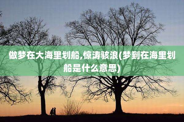 做梦在大海里划船,惊涛骇浪(梦到在海里划船是什么意思)