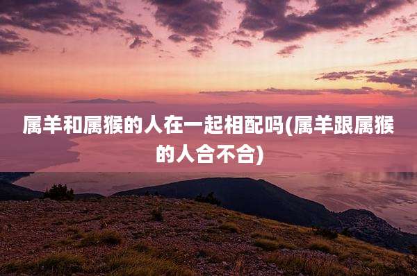 属羊和属猴的人在一起相配吗(属羊跟属猴的人合不合)
