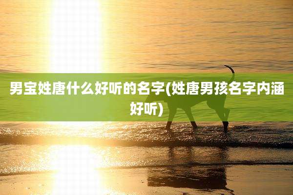 男宝姓唐什么好听的名字(姓唐男孩名字内涵好听)