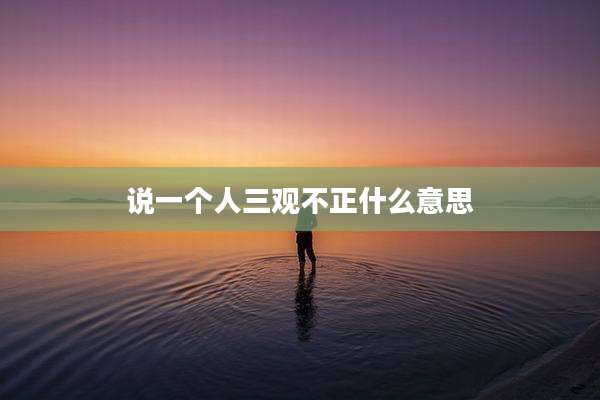 说一个人三观不正什么意思