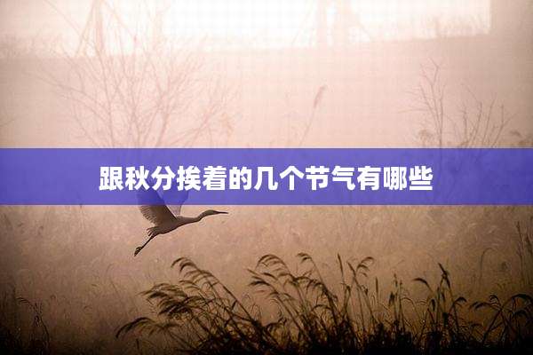 跟秋分挨着的几个节气有哪些