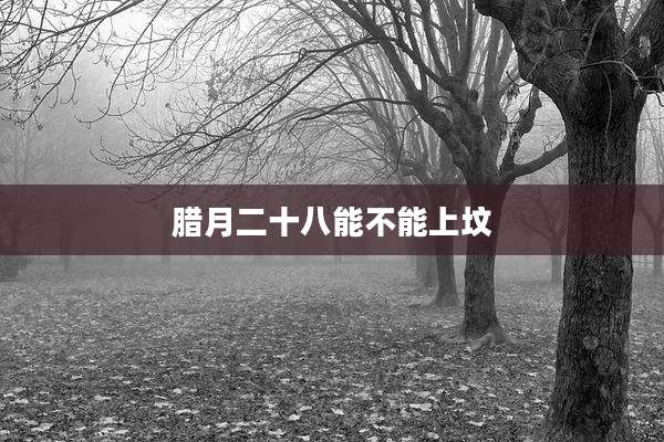 腊月二十八能不能上坟