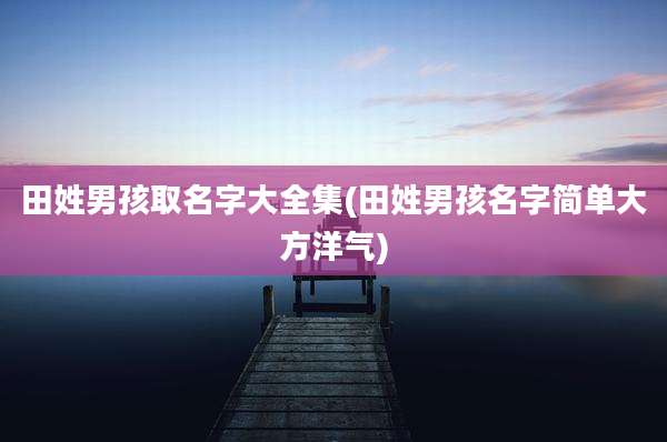 田姓男孩取名字大全集(田姓男孩名字简单大方洋气)