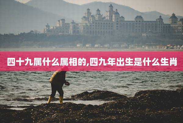 四十九属什么属相的,四九年出生是什么生肖