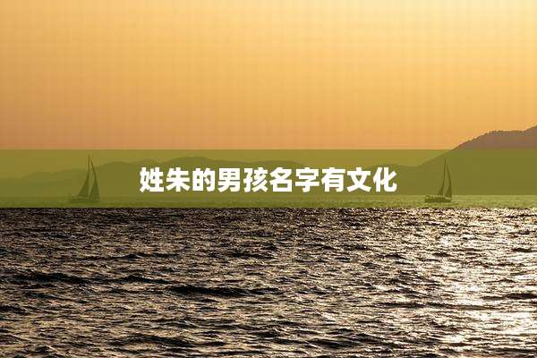 姓朱的男孩名字有文化