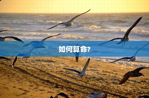 如何算命?