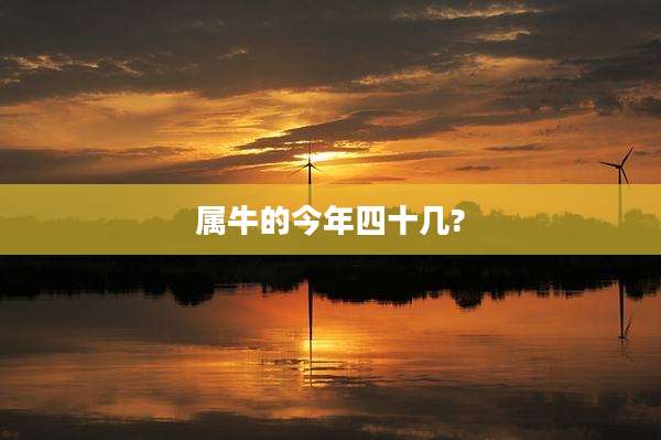 属牛的今年四十几?