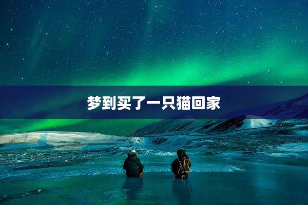 梦到买了一只猫回家