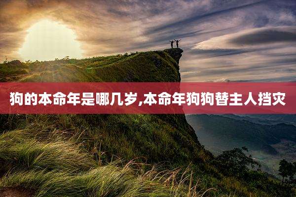 狗的本命年是哪几岁,本命年狗狗替主人挡灾