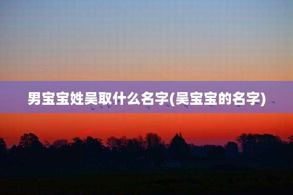 男宝宝姓吴取什么名字(吴宝宝的名字)