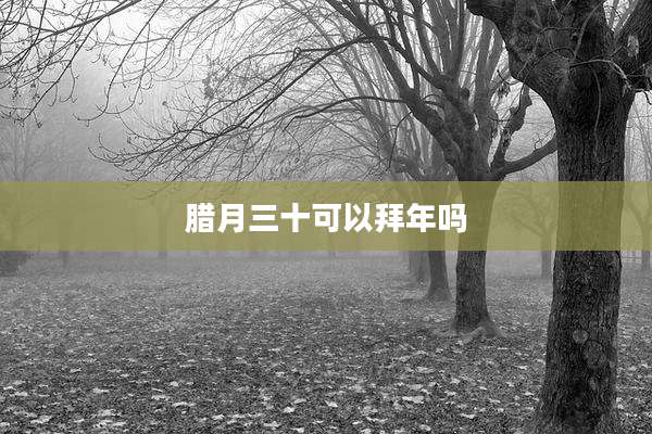 腊月三十可以拜年吗