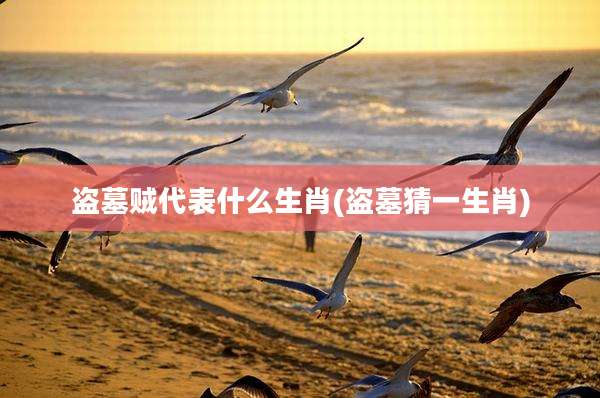盗墓贼代表什么生肖(盗墓猜一生肖)