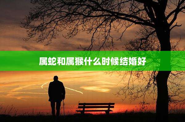属蛇和属猴什么时候结婚好