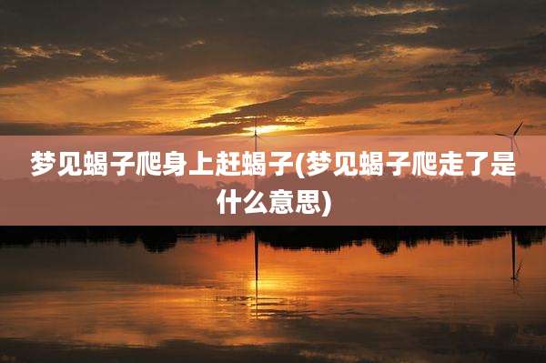 梦见蝎子爬身上赶蝎子(梦见蝎子爬走了是什么意思)
