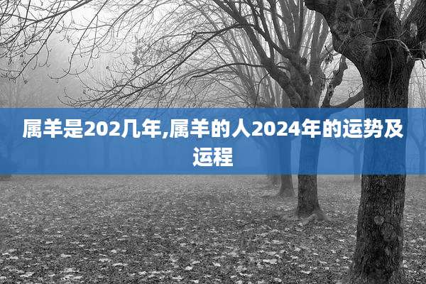 属羊是202几年,属羊的人2024年的运势及运程