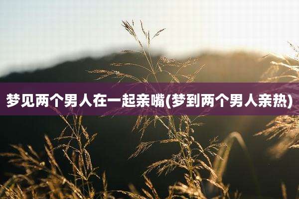 梦见两个男人在一起亲嘴(梦到两个男人亲热)