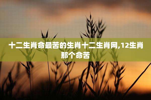 十二生肖命最苦的生肖十二生肖网,12生肖那个命苦
