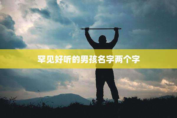 罕见好听的男孩名字两个字